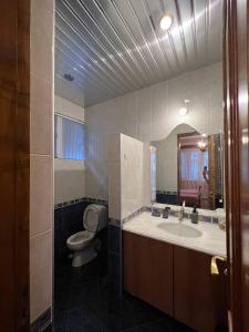La salle de bains est pourvue de toilettes, d'un lavabo et d'un miroir. dans l'établissement Guesthouse Parnavaz Mepe, à Batoumi