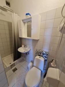 Baño pequeño con aseo y lavamanos en Apartmani Levarda, en Trogir
