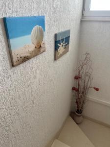 Fotografia z galérie ubytovania Apartmani Levarda v Trogiri