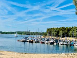a bunch of boats docked at a dock with a sailboat at Moderne Ferienwohnung am Rothsee in Hilpoltstein