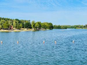 een groot meer met oranje boeien in het water bij Moderne Ferienwohnung am Rothsee in Hilpoltstein