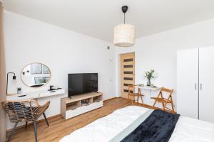 Televízia a/alebo spoločenská miestnosť v ubytovaní Apartments Airport Hynka by Arrenda