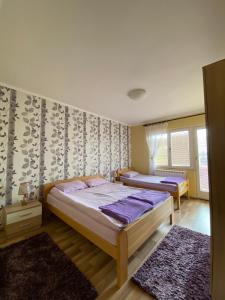 Ένα ή περισσότερα κρεβάτια σε δωμάτιο στο Apartment Zabljak Center