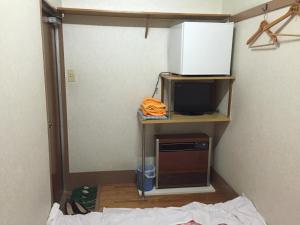 TV a/nebo společenská místnost v ubytování Asakusa Hotel Fukudaya
