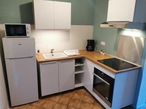 una pequeña cocina con nevera blanca y fregadero en Studio Duplex avec jardin - La voie des Salines 