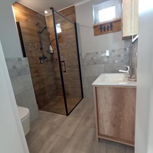 a bathroom with a shower and a sink at Domy w Górach Łomnica in Łomnica +25 photos
