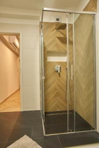um chuveiro com uma porta de vidro num quarto em SUNLIGHT Blue - Szeged em Szeged