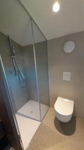 een badkamer met een douche, een toilet en een glazen douchecabine bij Fine Rooms Vipava in Vipava