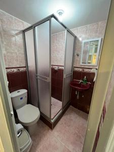 a bathroom with a shower and a toilet and a sink at Apartamento amoblado para alquiler temporal zona Norte in Pasto