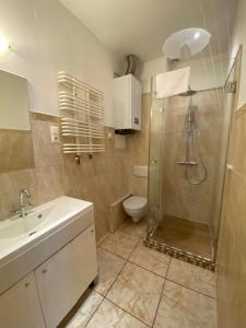 y baño con ducha, lavabo y aseo. en Apartament F21B Deluxe w Bielawie Góry Sowie, en Bielawa