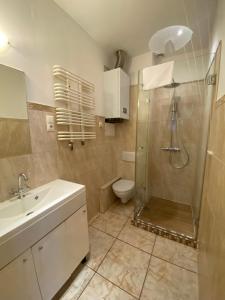 Kúpeľňa v ubytovaní Apartament F21B Deluxe w Bielawie Góry Sowie