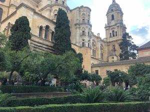 Vonkajšia záhrada v ubytovaní Apartamento catedral A