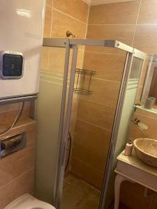 uma casa de banho com um chuveiro, um WC e um lavatório. em Aristonicus Boutique Hotel em Bergama