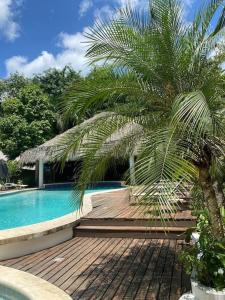 uma palmeira sentada ao lado de uma piscina em Villa tropical in private residence em Las Terrenas