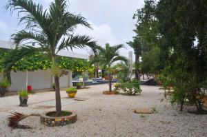 une cour avec un palmier et quelques arbres dans l'établissement Keur de Pierre, à Saly Portudal