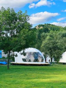 uma grande cúpula de vidro num campo com uma árvore em Domes Town by ANGAR em Vahagnadzor