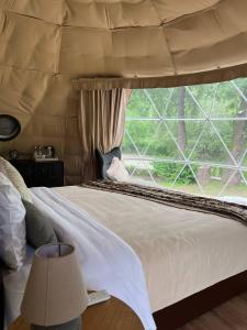 a bed in a tent with a large window at Domes Town by ANGAR in Vahagnadzor