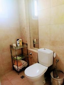 a bathroom with a white toilet and a mirror at ELENI'S HOUSE FOR VACATION in Nea Plagia +33 photos