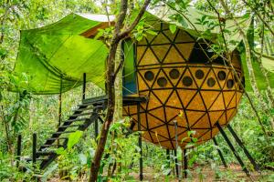 a tree house in the middle of a forest at Hotel Ecologico Makalombia in La Macarena
