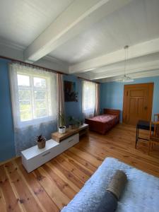 een woonkamer met blauwe muren en houten vloeren bij Zabytkowy Drewniany dom z 1887 roku in Nowy Dwór Gdański