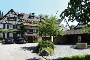 a large house with cars parked in front of it at Ferienwohnung Ute in Kandern