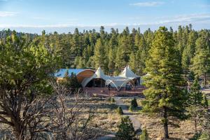 una tienda en medio de un bosque en Under Canvas Bryce Canyon, en Widtsoe