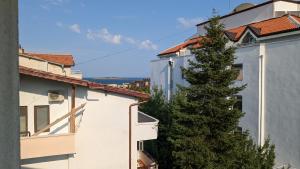 a pine tree in the middle of two buildings at Stoyanovi Guest House in Chernomorets