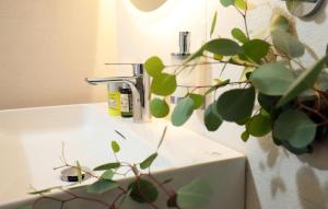 Mynd úr myndasafni af Apartments villa Ladini í Split
