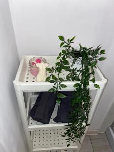 Φωτογραφία από το άλμπουμ του Apartament Grunwaldzka στο Μπίντγκοστς