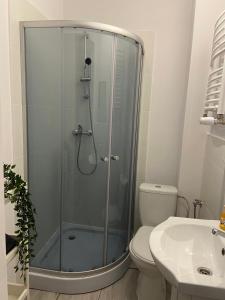 La salle de bains est pourvue d'une douche, de toilettes et d'un lavabo. dans l'établissement Apartament Grunwaldzka, à Bydgoszcz