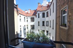 una olla en el alféizar de la ventana con vistas a un edificio en Wilhelmstadt Apartment 60m - PARKING, en Toruń