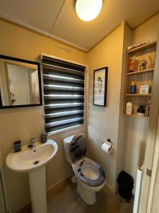 a bathroom with a toilet and a sink at Holiday Park Caravan Fluffy in Harts Holiday Park in Leysdown-on-Sea