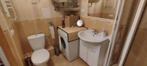 a small bathroom with a toilet and a sink at Retrospekcja - Apartament w centrum in Zakopane