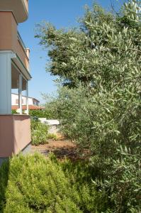 Vonkajšia záhrada v ubytovaní Apartment ELLY
