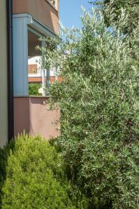 Vonkajšia záhrada v ubytovaní Apartment ELLY