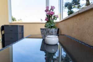 Fotografia z galérie ubytovania Apartment ELLY v Novigrad Istria