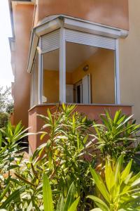 Fotografia z galérie ubytovania Apartment ELLY v Novigrad Istria