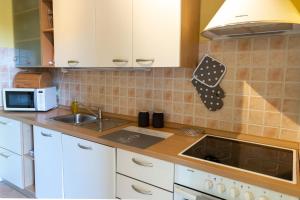 Kuchyňa alebo kuchynka v ubytovaní Apartment ELLY