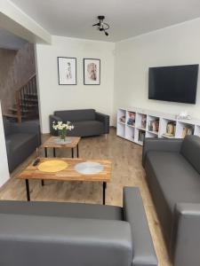 a living room with couches and a table and a tv at Leśniewo Czarna Góra in Leśniewo