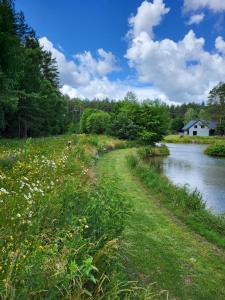 a path next to a river with a house at Leśniewo Czarna Góra in Leśniewo