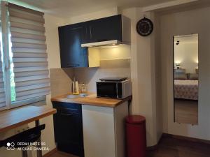una pequeña cocina con fregadero y microondas en Apartment Albert parking privé gratuit, en Limoux