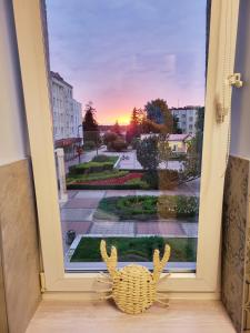 a door to a window with a crab on the floor at Apartament nad Małym Jeziorakiem in Iława