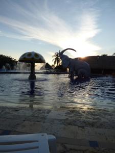 un elefante parado en el agua con un paraguas en Costa Azul Suites 403 en Santa Marta