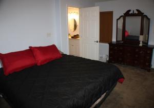 a bedroom with a black bed with red pillows and a mirror at Navarre Beach Escapades in Navarre