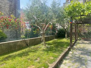 A garden outside Nuova Casa vacanze nonna Prassede con giardino e posto auto