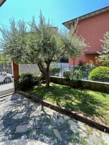A garden outside Nuova Casa vacanze nonna Prassede con giardino e posto auto