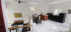 NEW! CASA XOLA Cenote and Fauna Loft في كوزوميل: اطلالة على مطبخ وغرفة معيشة