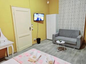 TV a/nebo společenská místnost v ubytování Rose Guest House
