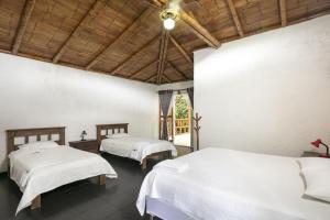 托比亞的住宿－Rionegro Ecolodge，一间卧室设有两张床和窗户。