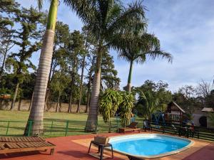 una piscina en un parque con palmeras en El Rosedal Cataratas en Puerto Iguazú